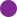 Bullet purple